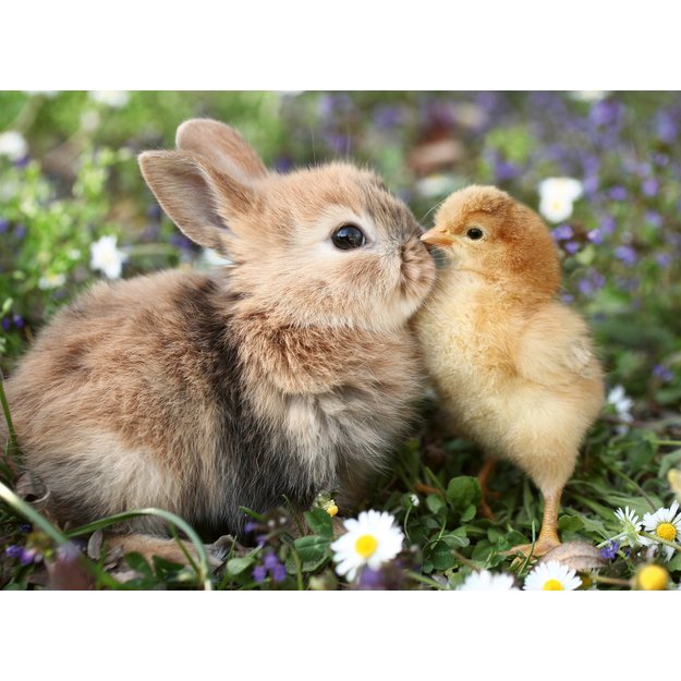 Ravensburger Puzzle 500 Pieces: Rabbit And Chick