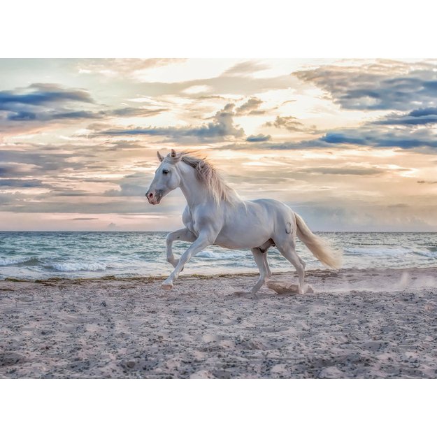 Ravensburger Puzzle 500 Pieces: Evening Gallop