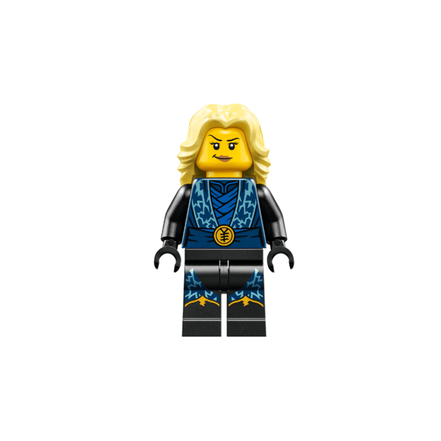 LEGO Ninjago Ninja Character Display 15th Anniversary
