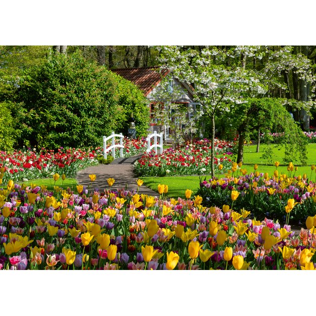 Ravensburger Puzzle 1000 Pieces: Keukenhof Gardens