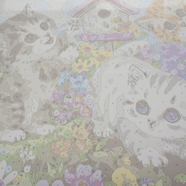 Tapyba pagal skaičius 40x50cm - Maaleo cats 22781