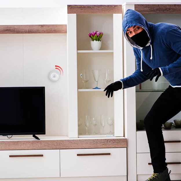 Alpina - Smart PIR judesio jutiklis Zigbee tinklas 18