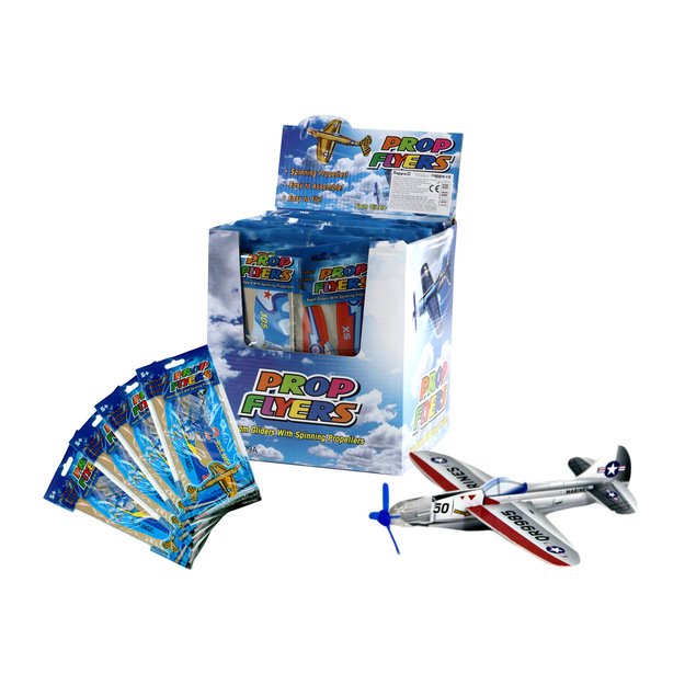 the throwing styrofoam plane