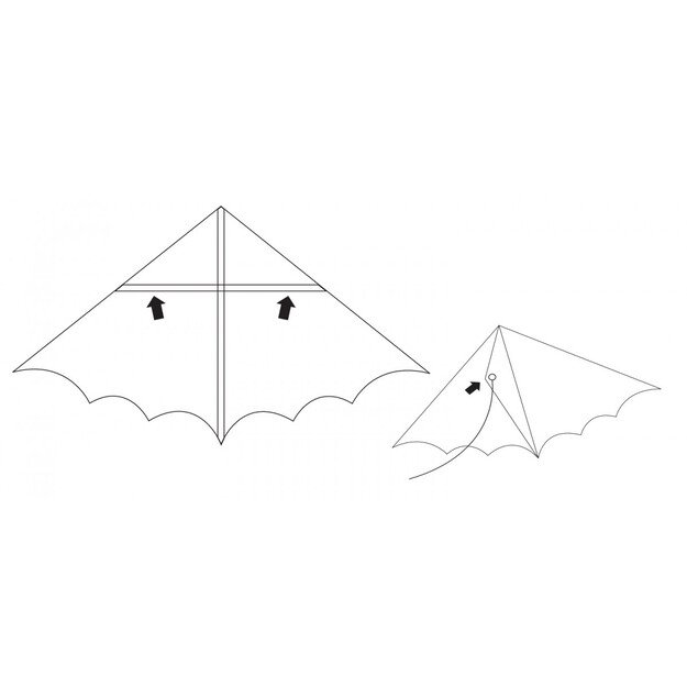 Nailoninis aitvaro skraidymas 115 x 50 cm 3