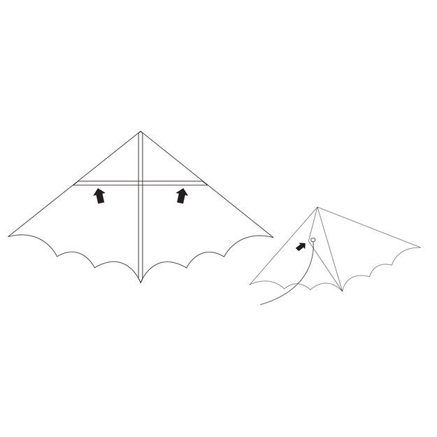 Nailoninis aitvaro skraidymas 115 x 50 cm 5