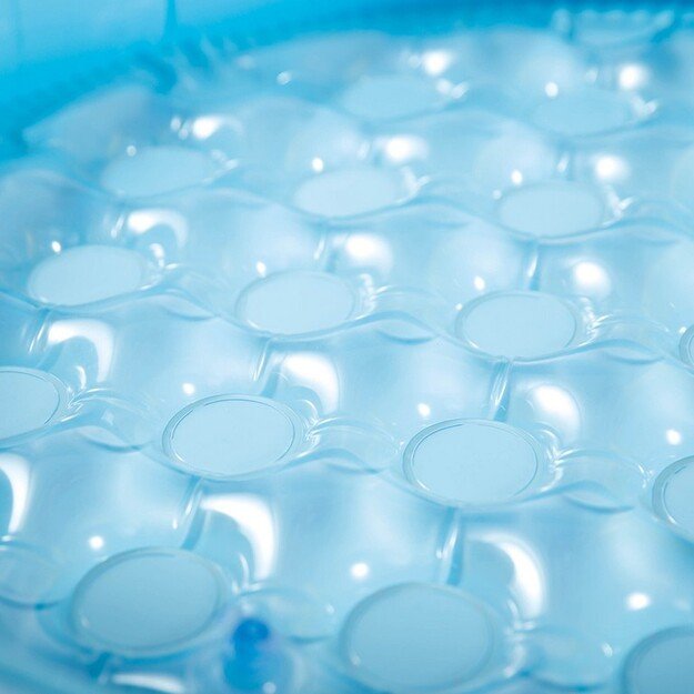 Pripučiamas baseinas su stogu, grybiena 3