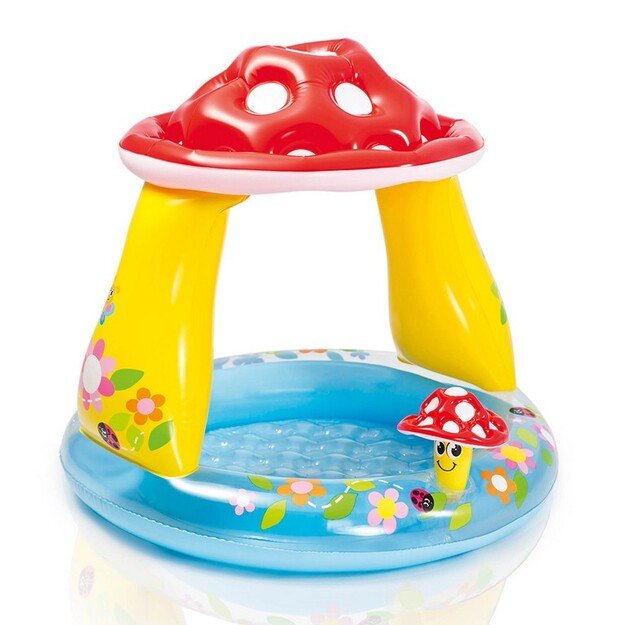 Pripučiamas baseinas su stogu, grybiena 1