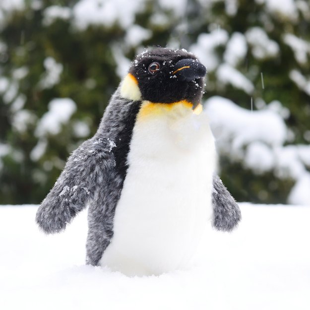 Pliušinis pingvinas 20 cm EKOLOGIŠKAS 1
