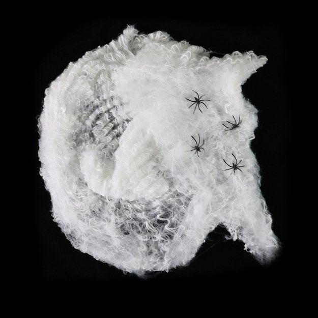 Spider web with spiders, white 3