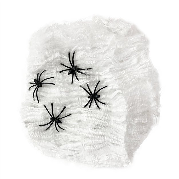 Spider web with spiders, white 1