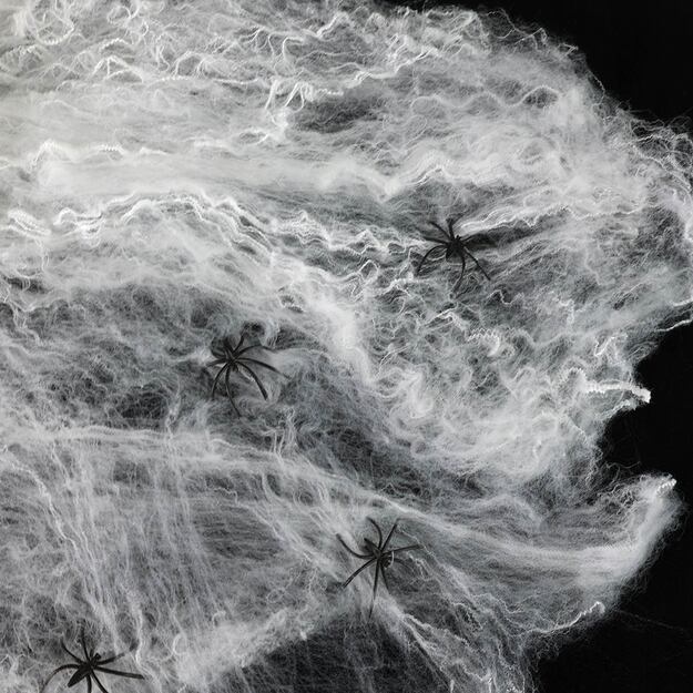 Spider web with spiders, white 4