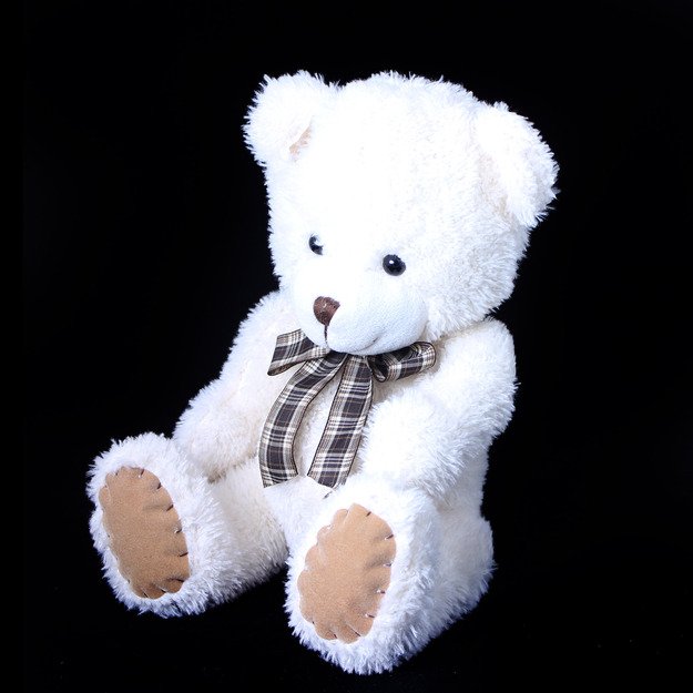 Teddy bear with a ribbon 27 cm 4