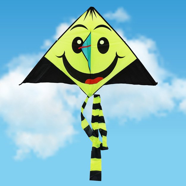 Skraidantis aitvaras 140 cm 3