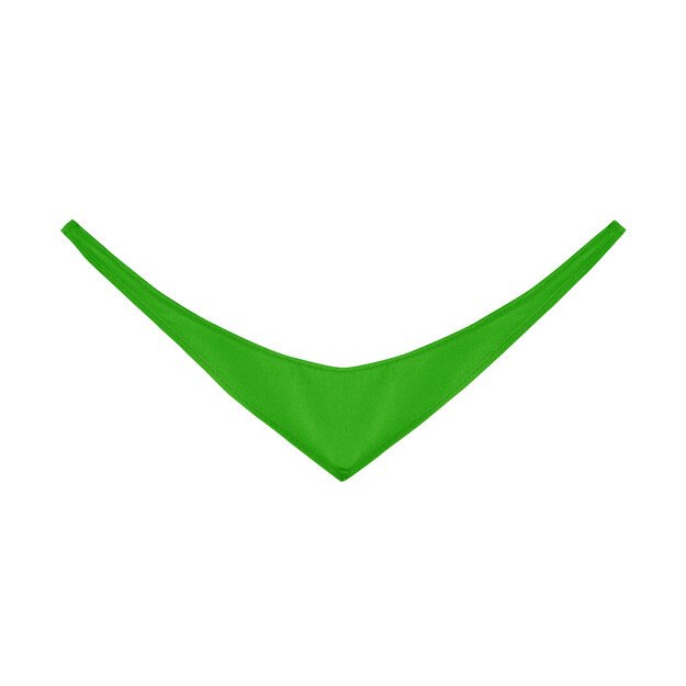 The scarf for plush - green 1
