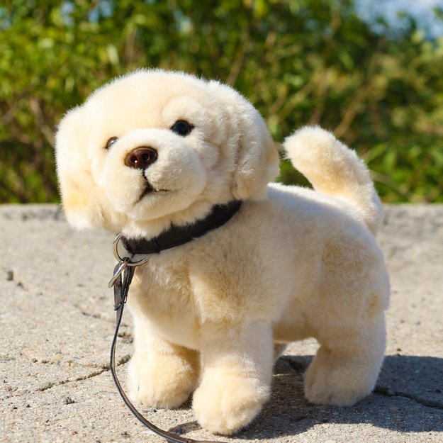 Pliušinis auksaspalvis retriveris, 25 cm, ECO-F. 5