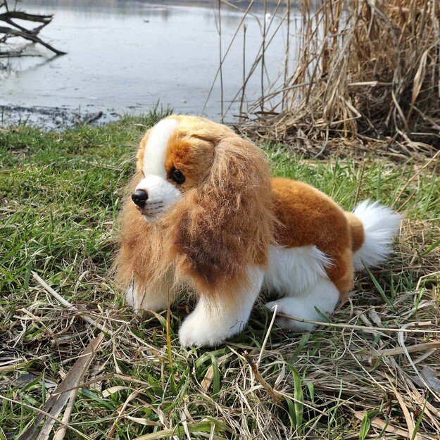 Plush King Charles 28 cm ECO-FRIENDLY 5