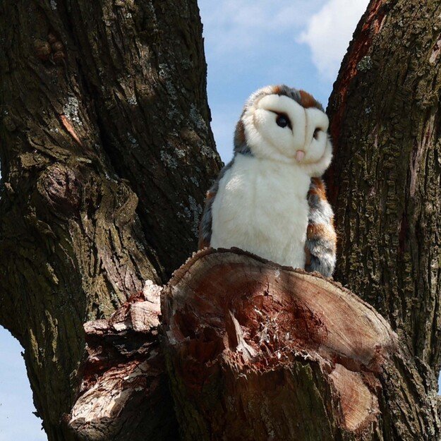 Plush owl 27 cm ECO-FRIENDLY 5