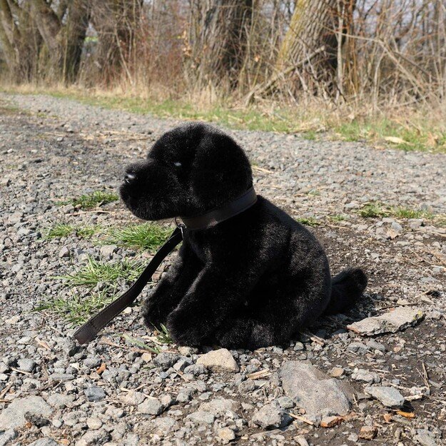 Plush labrador 25 cm ECO-FRIENDLY 2