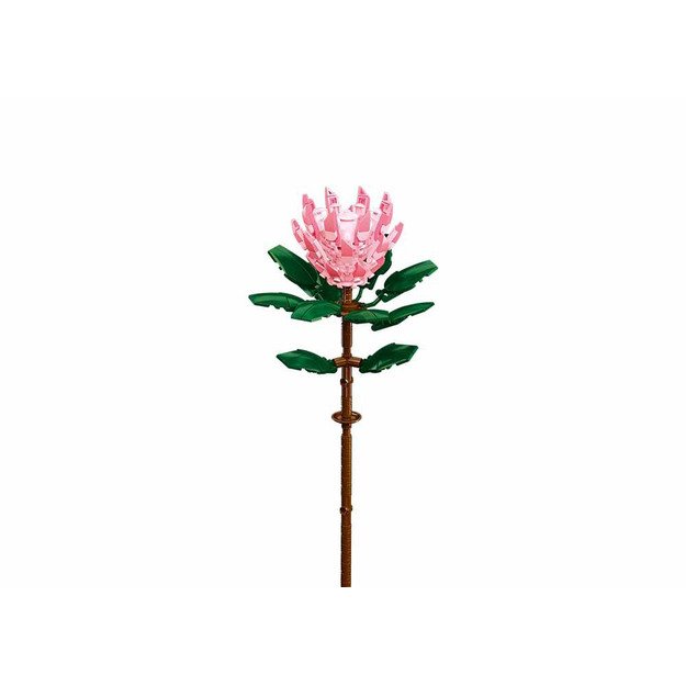 Sluban Flowers M38-B1101-03 Protea 3