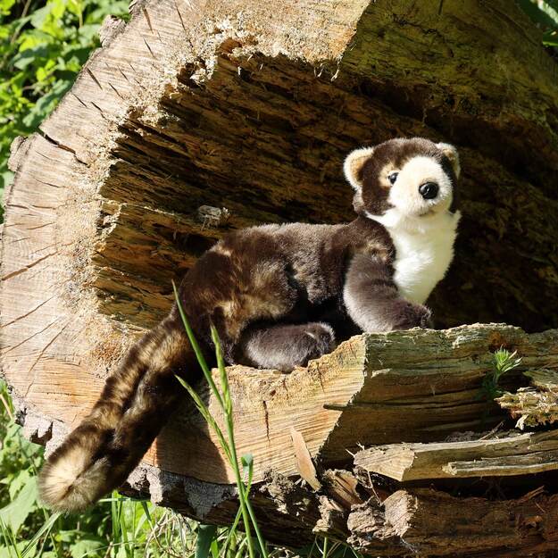 Pliušinė kiaunė 25 cm EKOLOGIŠKA 5