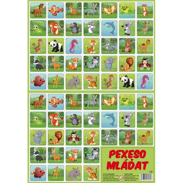 Atminties žaidimas jaunatviškai 1