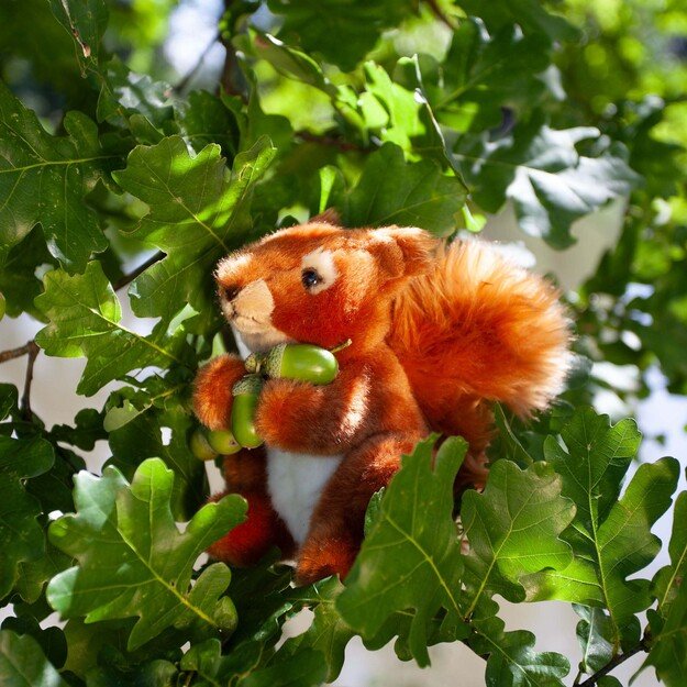 Pliušinis voverės žaisliukas 18 cm EKOLOGIŠKAS 4