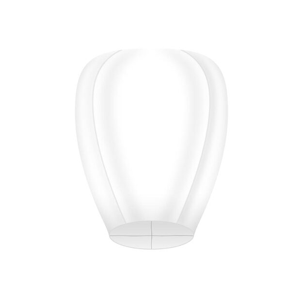 Žibintas MFP sėkmės skrydis 5