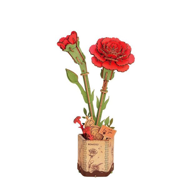 RoboTime 3D wooden nail puzzle