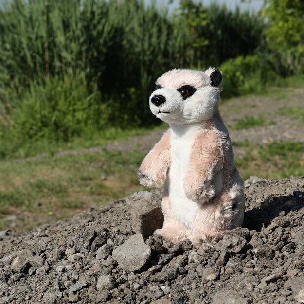 Pliušinis surikatas 14 cm EKOLOGIŠKAS 4