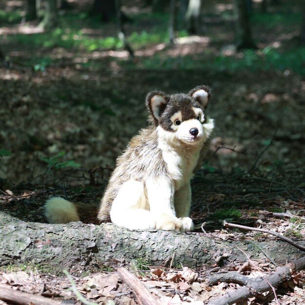 Pliušinis vilkas 28 cm EKOLOGIŠKAS 5