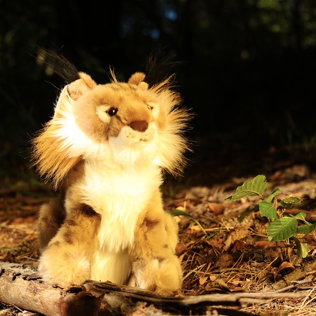 Pliušinis lūšis 25 cm EKOLOGIŠKAS 4