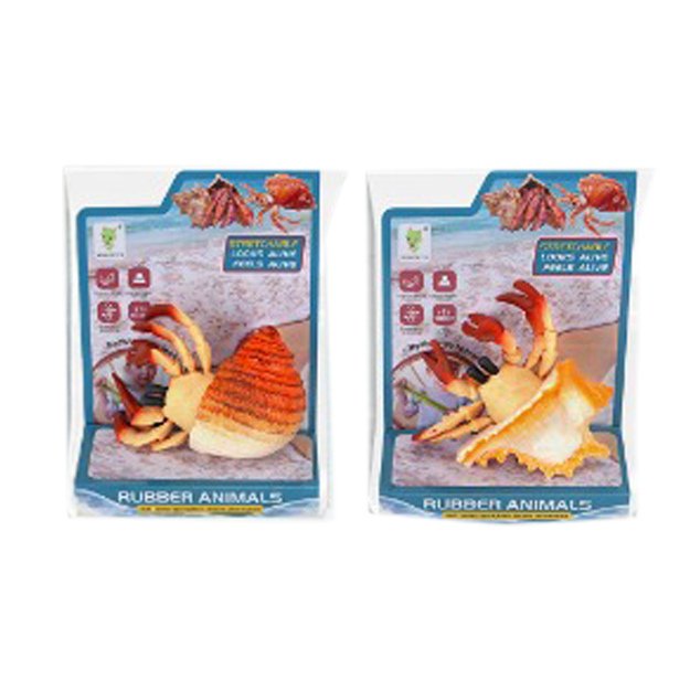 Crab with a shell 10 cm