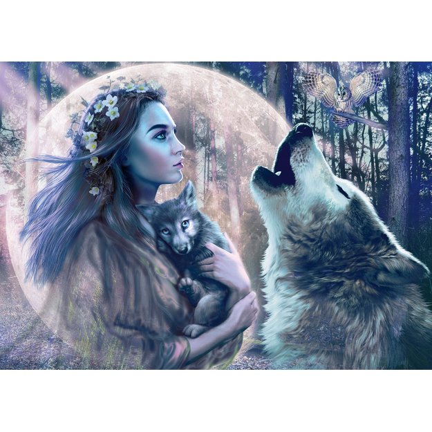 Ravensburger Puzzle 1000 pc Moonlight Magic