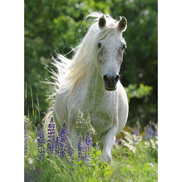 Ravensburger Puzzle 100 pc White Horse