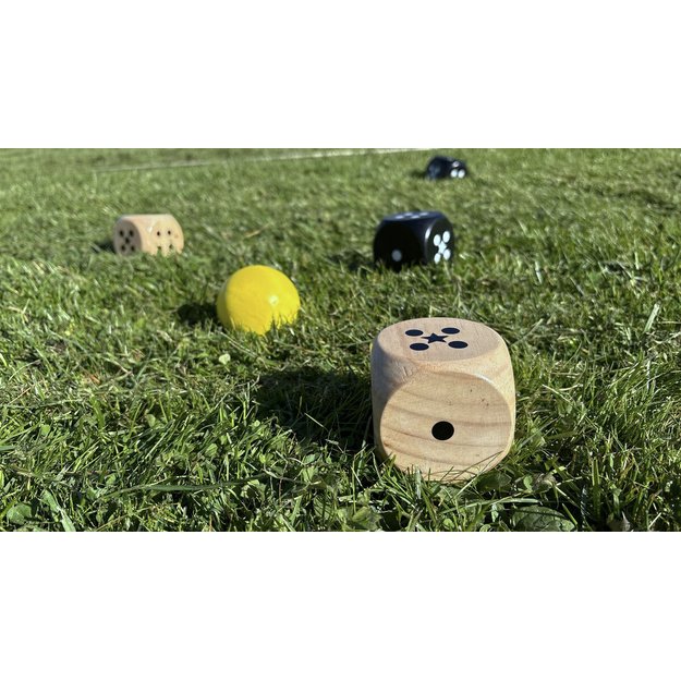 Bex 5Star outdoor game: Family