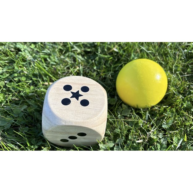 Bex 5Star outdoor game: Family