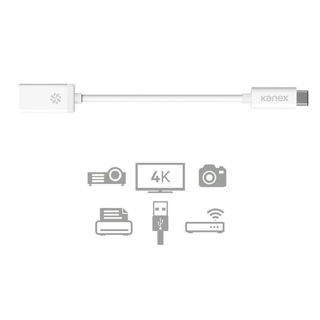 Kanex USB-C į USB adapteris 21 cm (baltas)